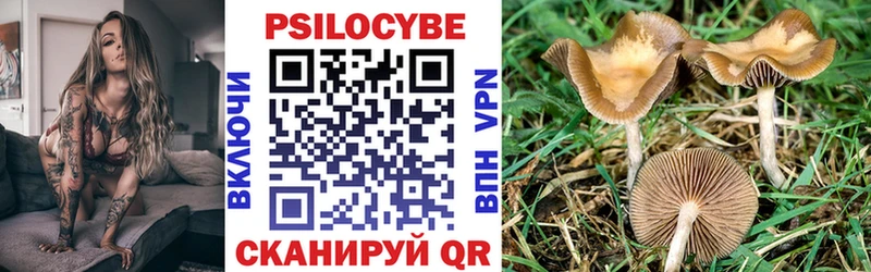 MEGA ссылка  даркнет сайт  Любань  Галлюциногенные грибы Cubensis 